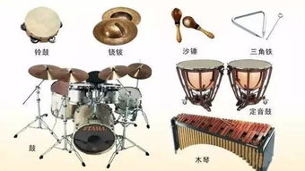 一篇文章教你認識所有的交響樂樂器